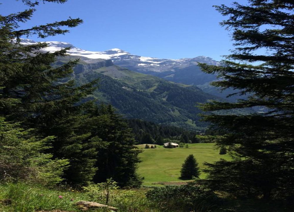 Contemporary Swiss Escape