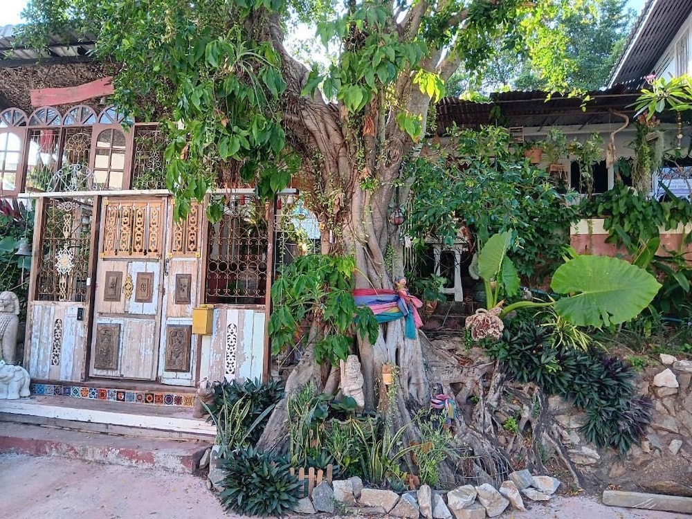 baansikhao yanui