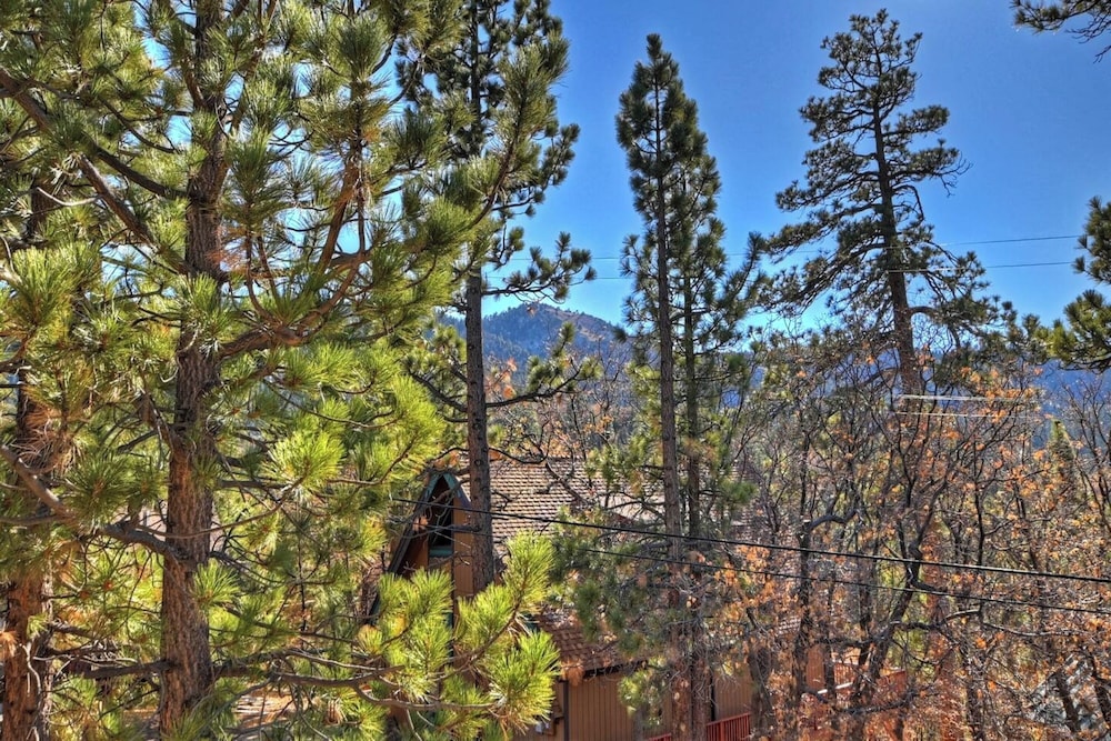 Canyon Castle Mtn Retreat w Hot Tub