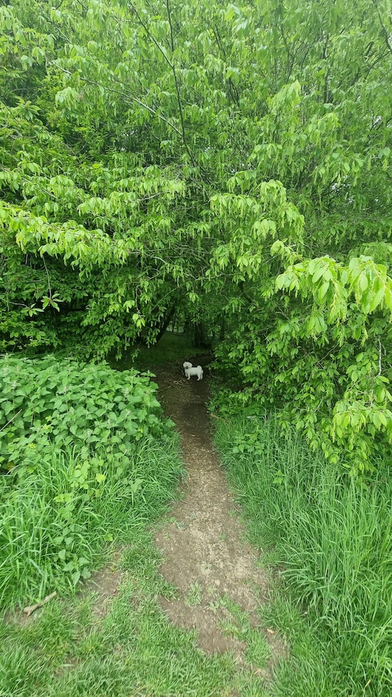 Photo 41