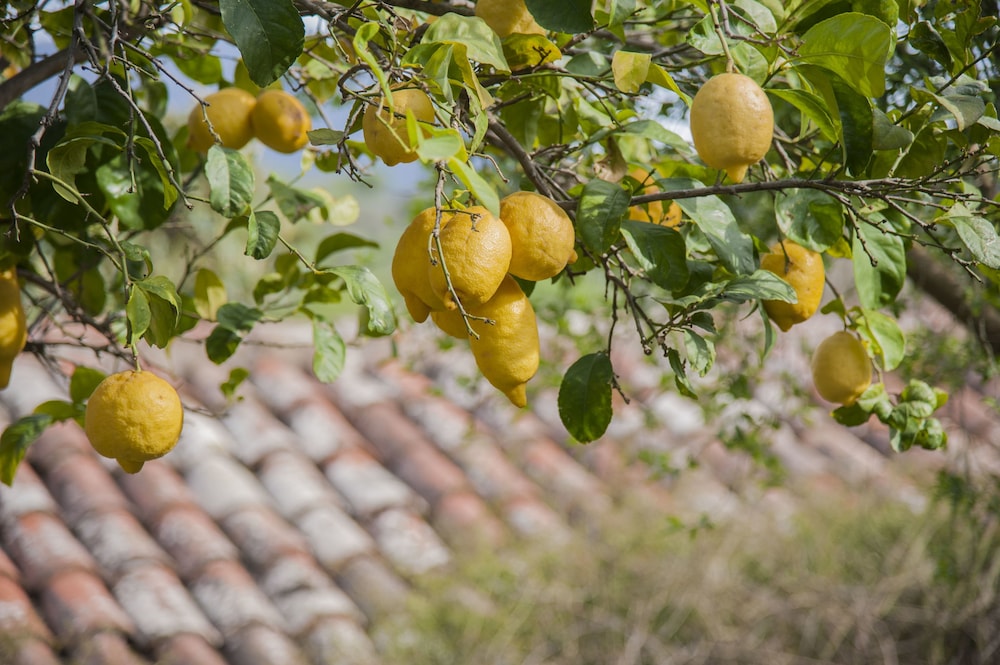 Agriturismo Bergi