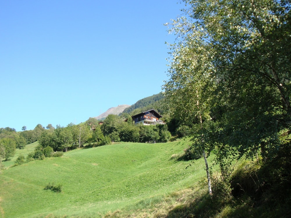 Photo 6