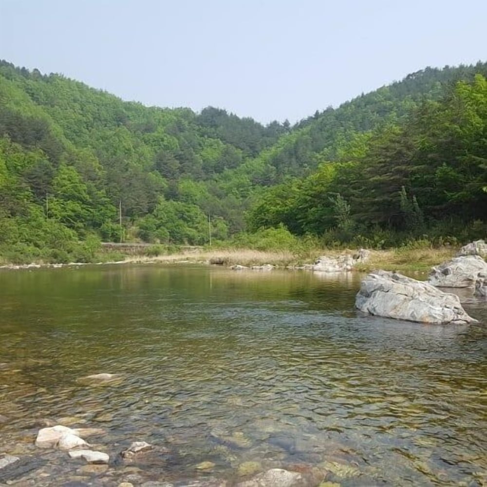 Caddis Pension