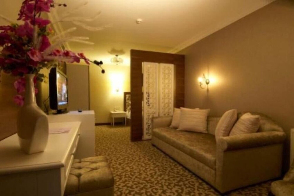 Safran Thermal Resort SPA & Conveention view 4