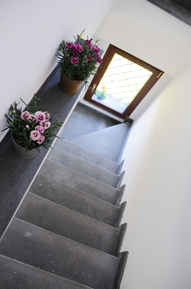 La Circumetnea B&B