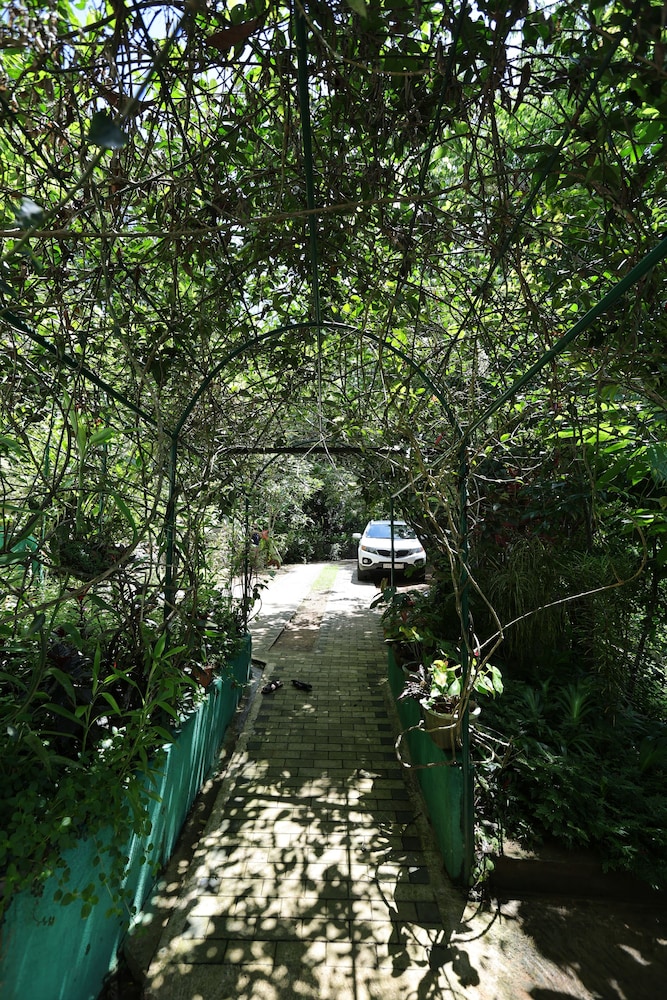 Sinharaja River Lodge