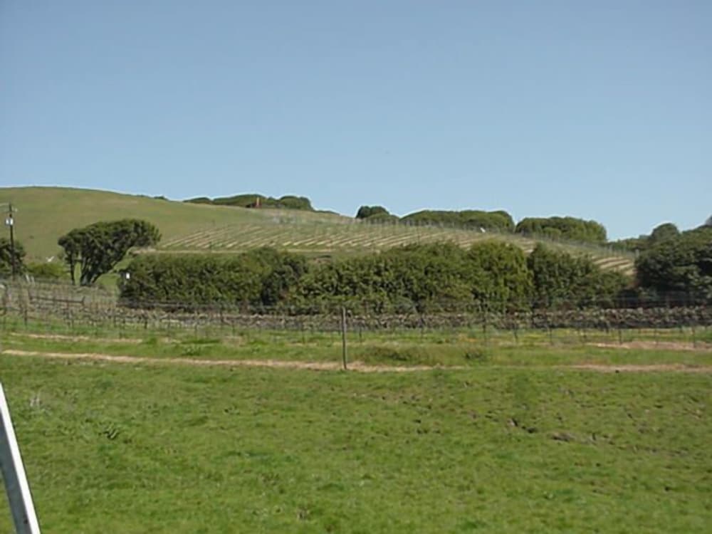 Point Reyes Vineyard Inn