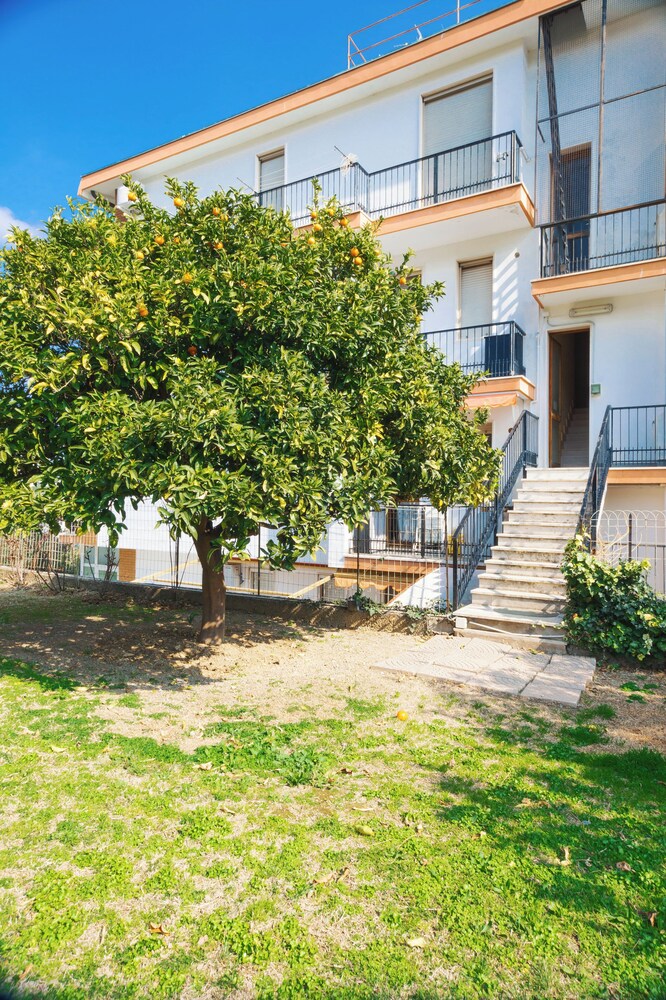 Le Orchidee 10 Apartment view 4