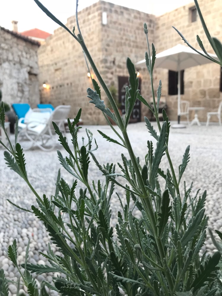 Saint Artemios Hotel and Oriental Suites