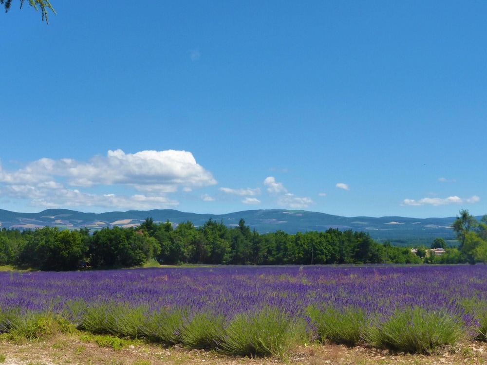 Nice Holiday Home With Private Pool in the Luberon Park, Grambois view 5