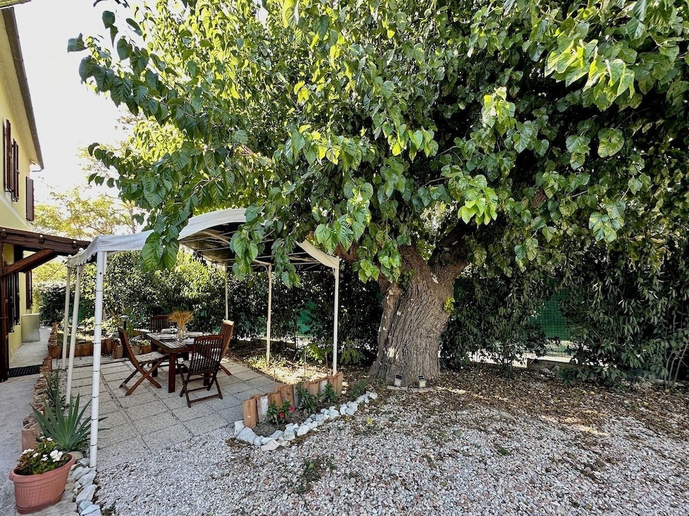 the Gelso in Historic Villa With Pool in Senigallia