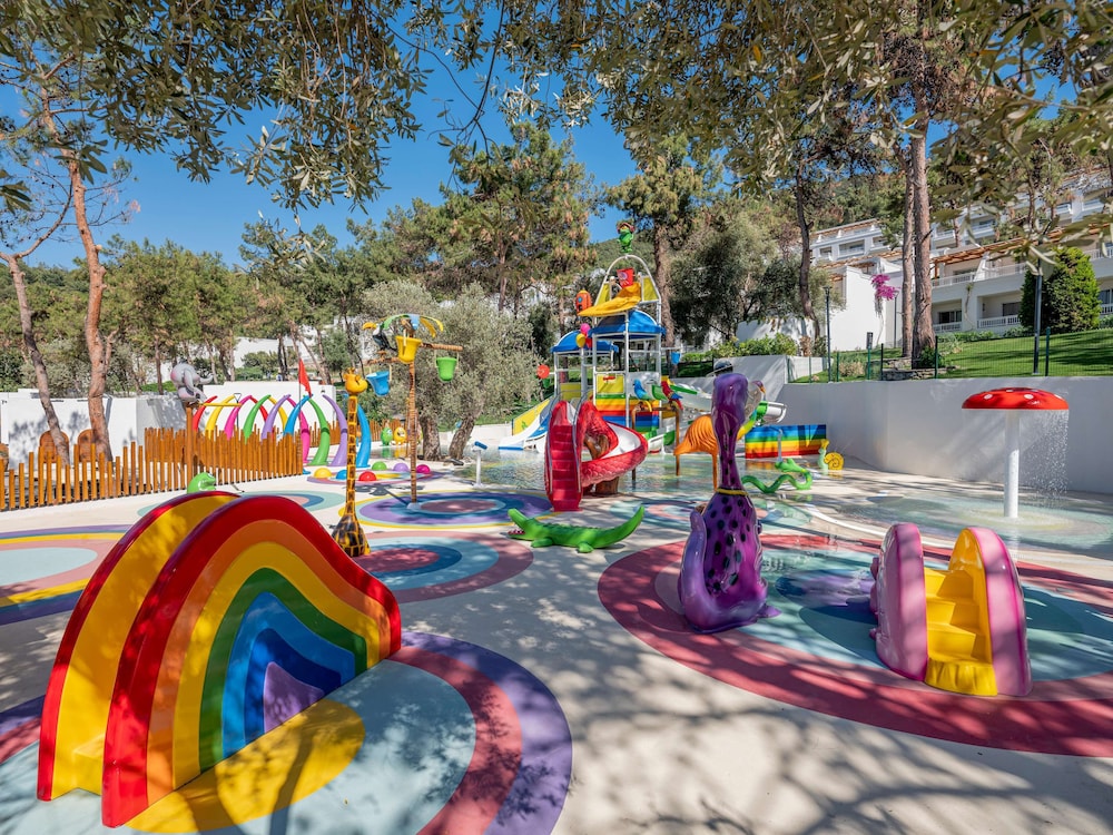 Photo 94