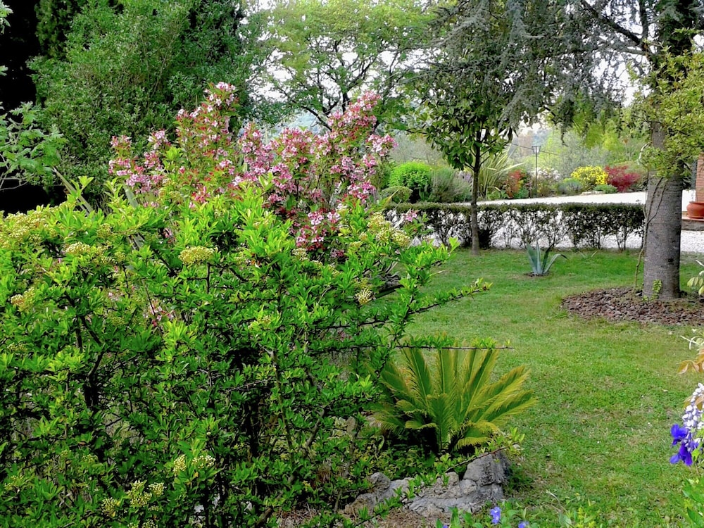 Rustic Pool Villa in Roman Countryside view 5