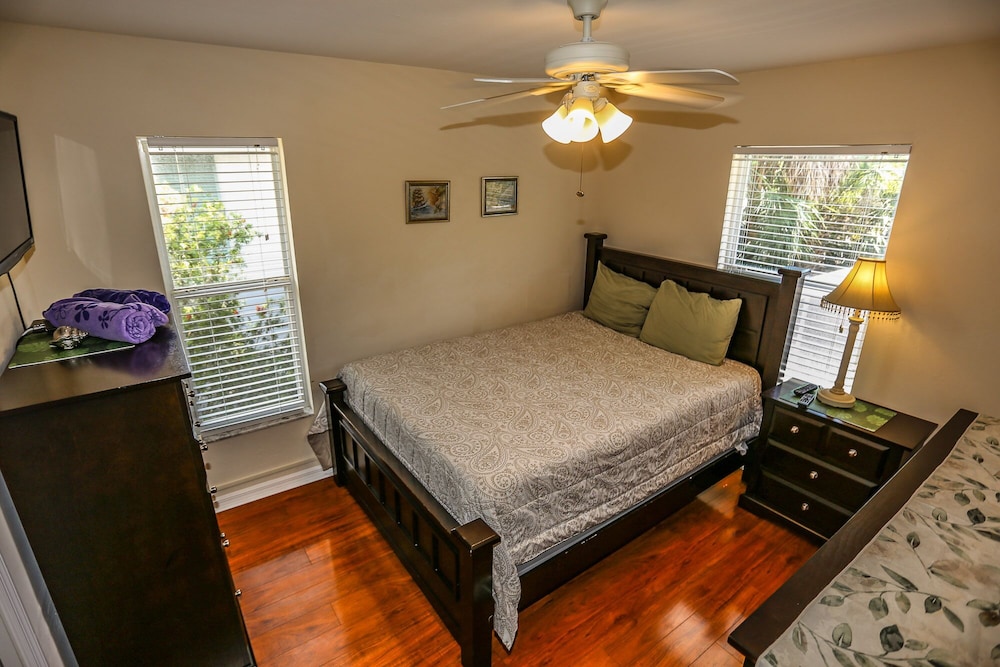 295 Mango view 2