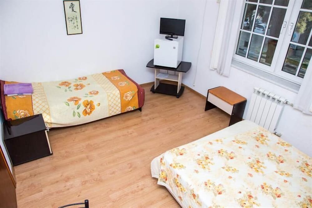 Guest house  Alina on Lenin street view 3