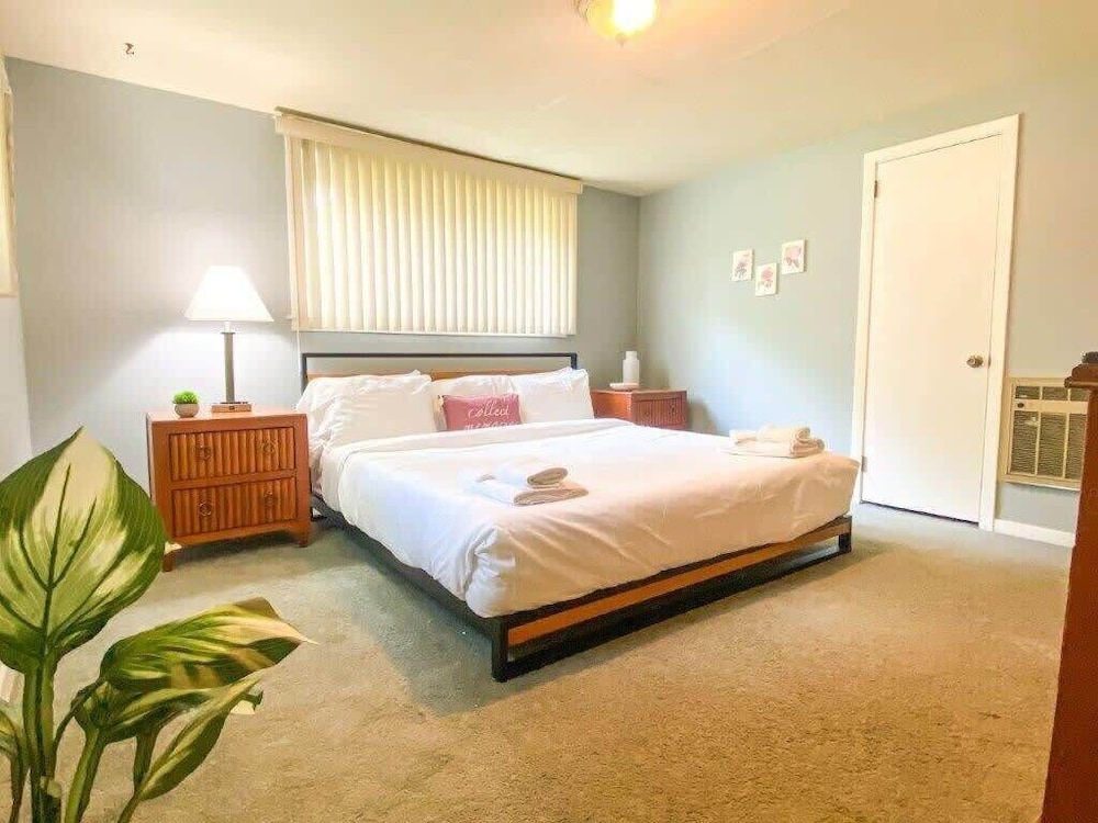 Belvoir Drive Southern Charmer
