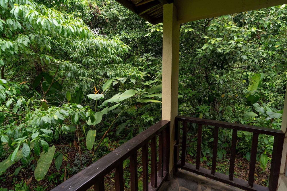 Heliconia Island