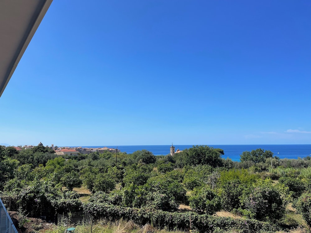 Aurantia - Mediterranean Tale