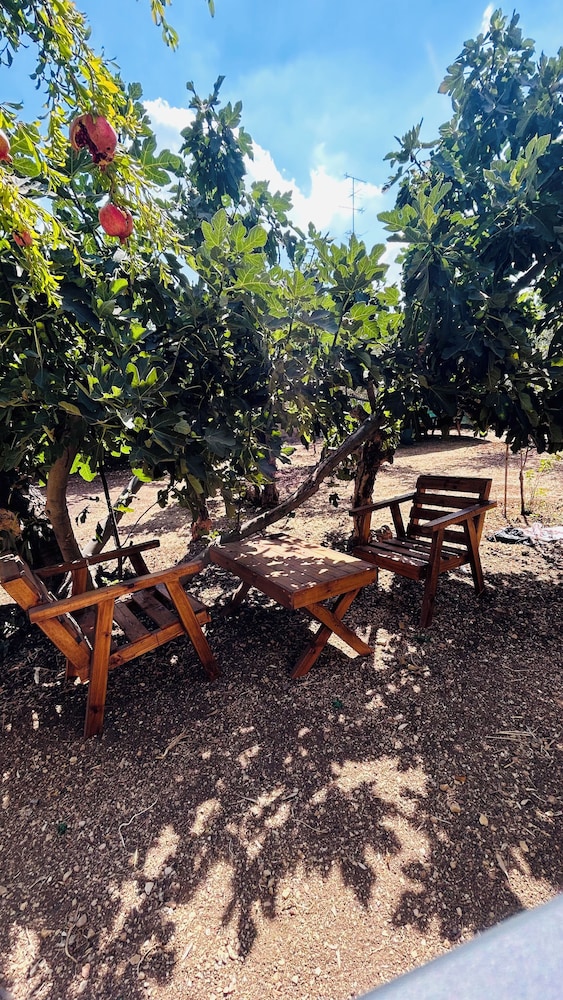 OliveTreeHostel, photo 41