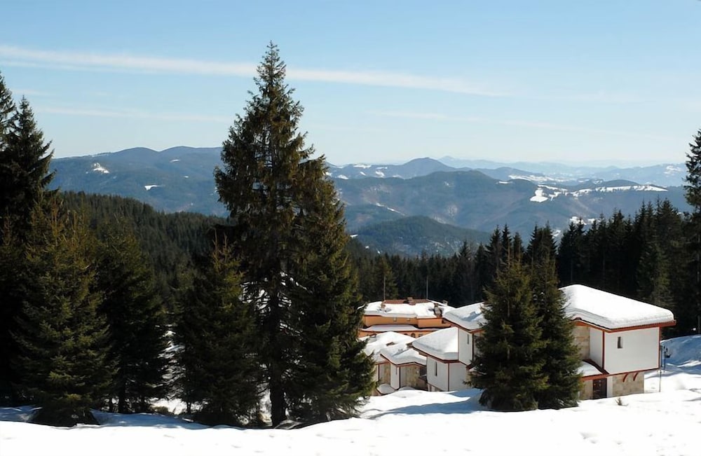 Photo 44
