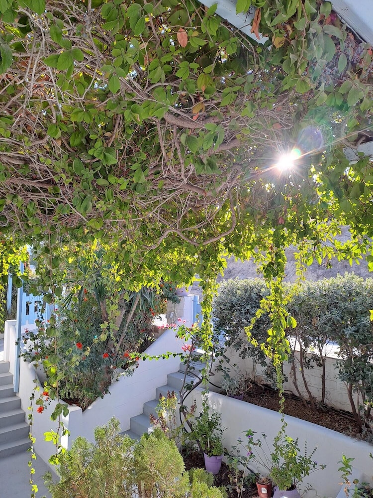 Stratos Studios & Apartments, photo 44