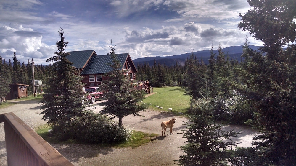 DENALI'S ALASKAN SPRUCE CABINS