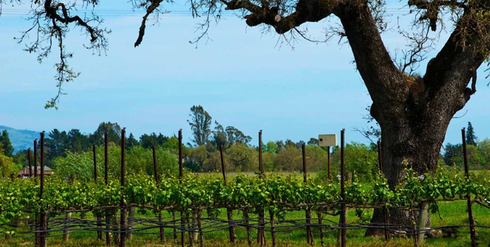 2900sqft villa near ski  snowboarding - Property Image 15