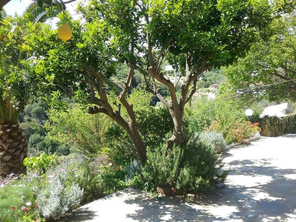 Photo 12