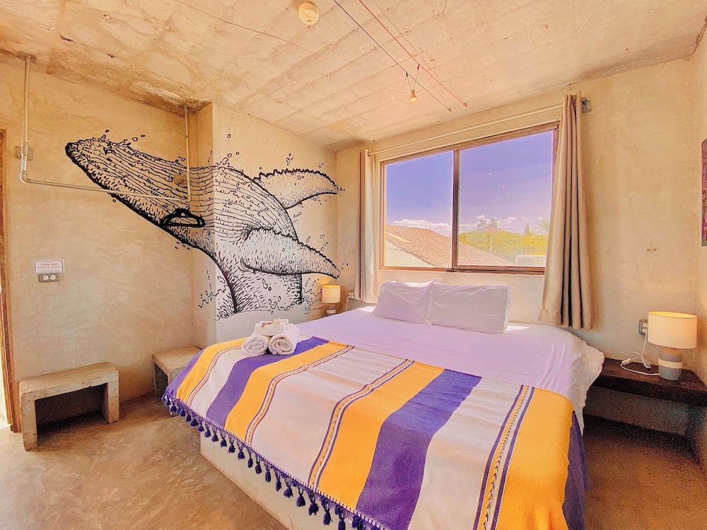 Perro Surfero Hotel Boutique - Todos Santos, BCS