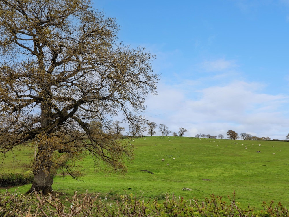 Aelybryn