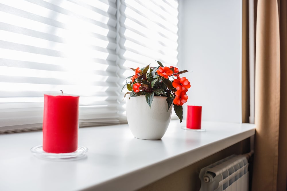 Yekaterinburg Vacations - Your Studio - 1 - Property Image 17