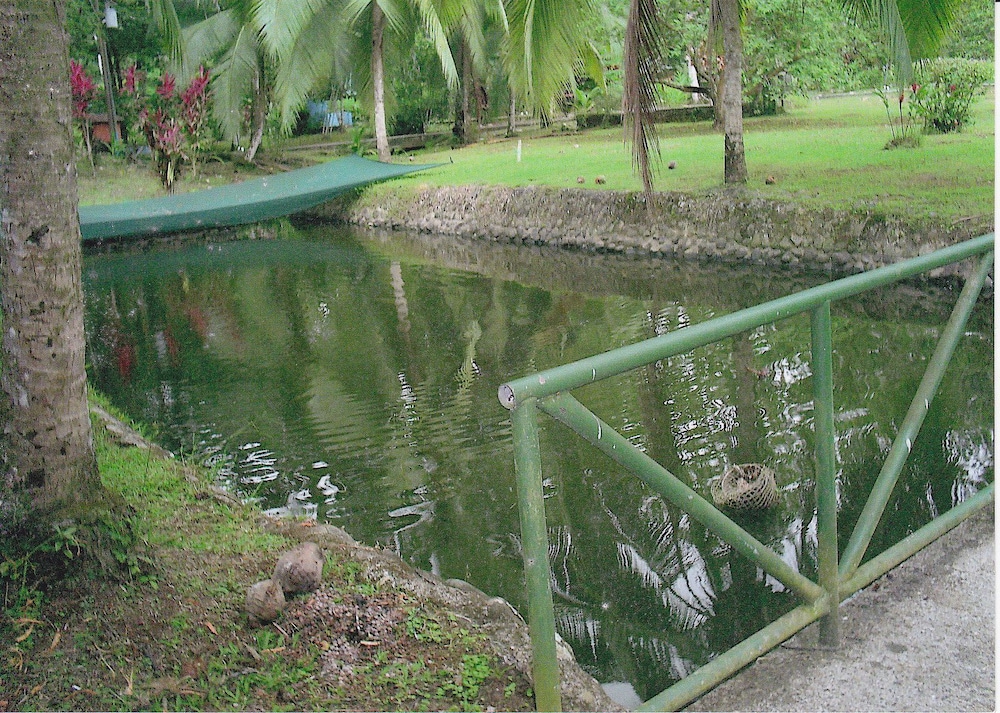 El Pizote Lodge