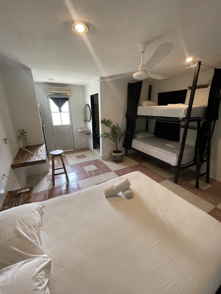Oryx Valladolid - Hostel view 4