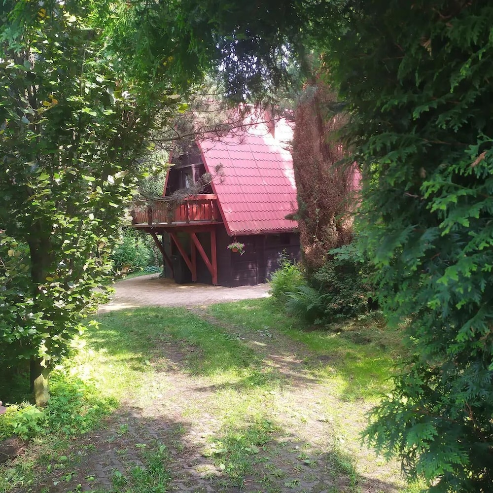 Photo 24