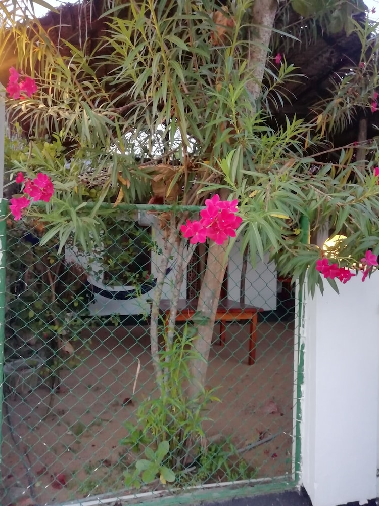 Photo 36