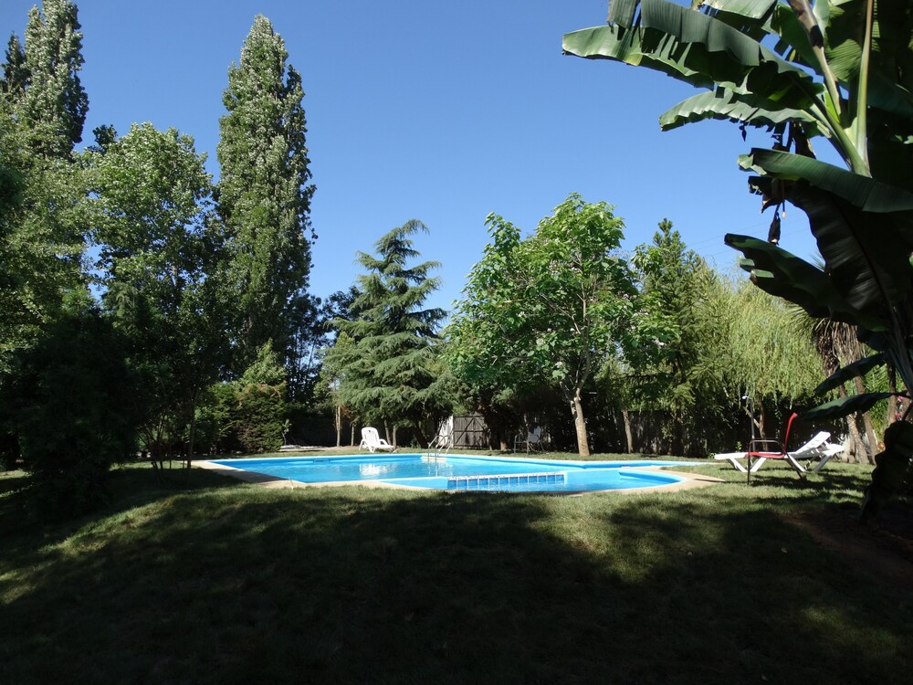 Photo 21