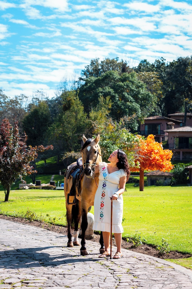 Sierra Lago Resort  Spa - All inclusive - Property Image 138