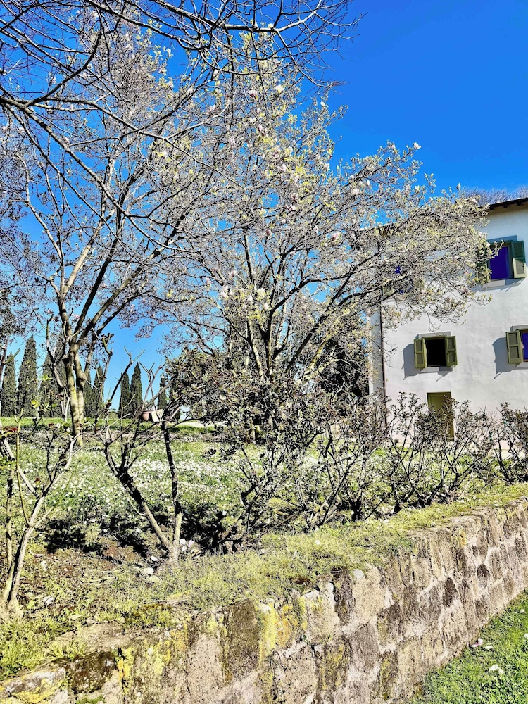 New Estate of Joy a Magnificent Historic Villa Near Rome on Glorious Ground Pool and Olives Galore