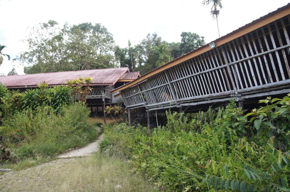Sabah Tea Resort