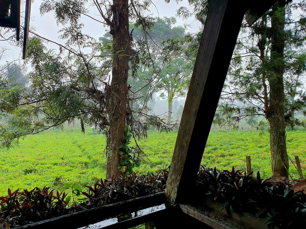 Argapuri Jungle Resort