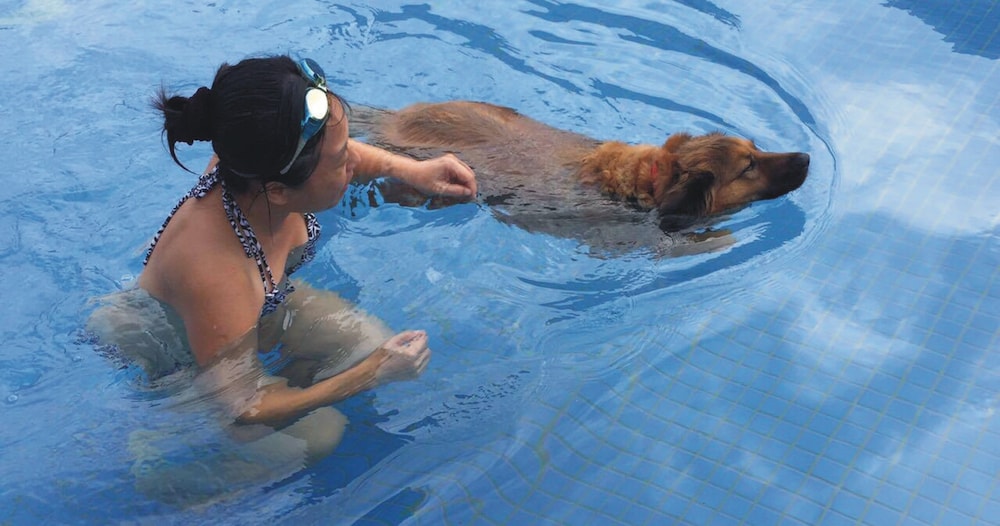 True Love Villa