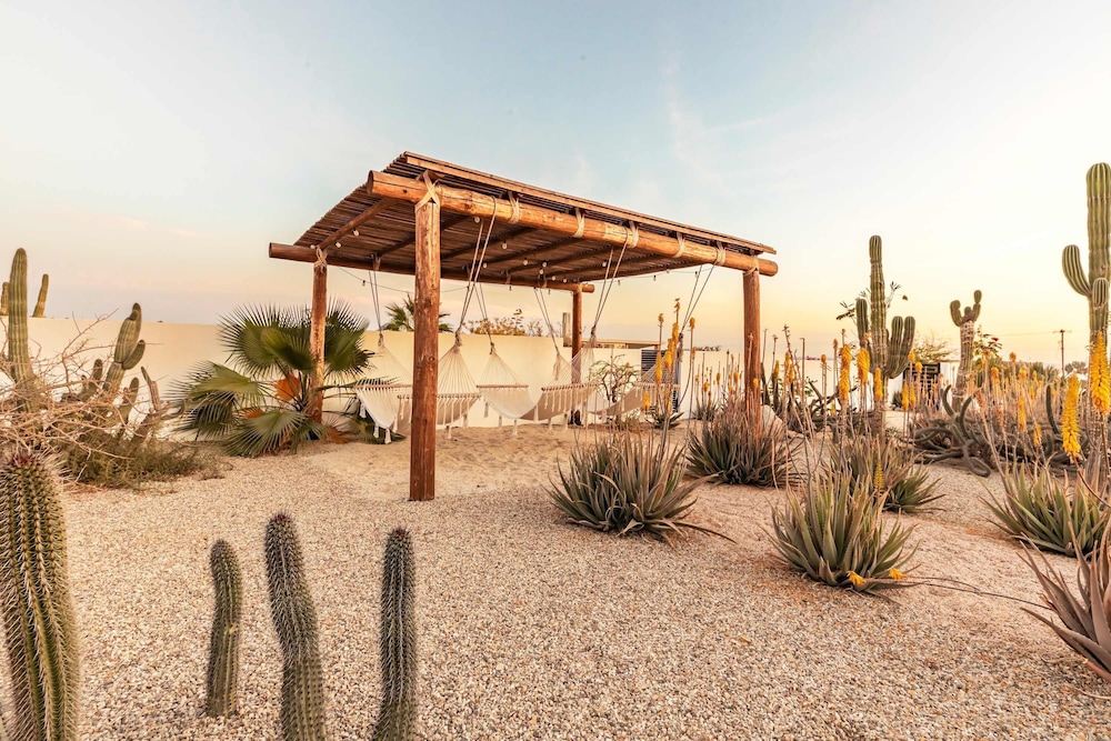 Hidden Leaf Baja Estate