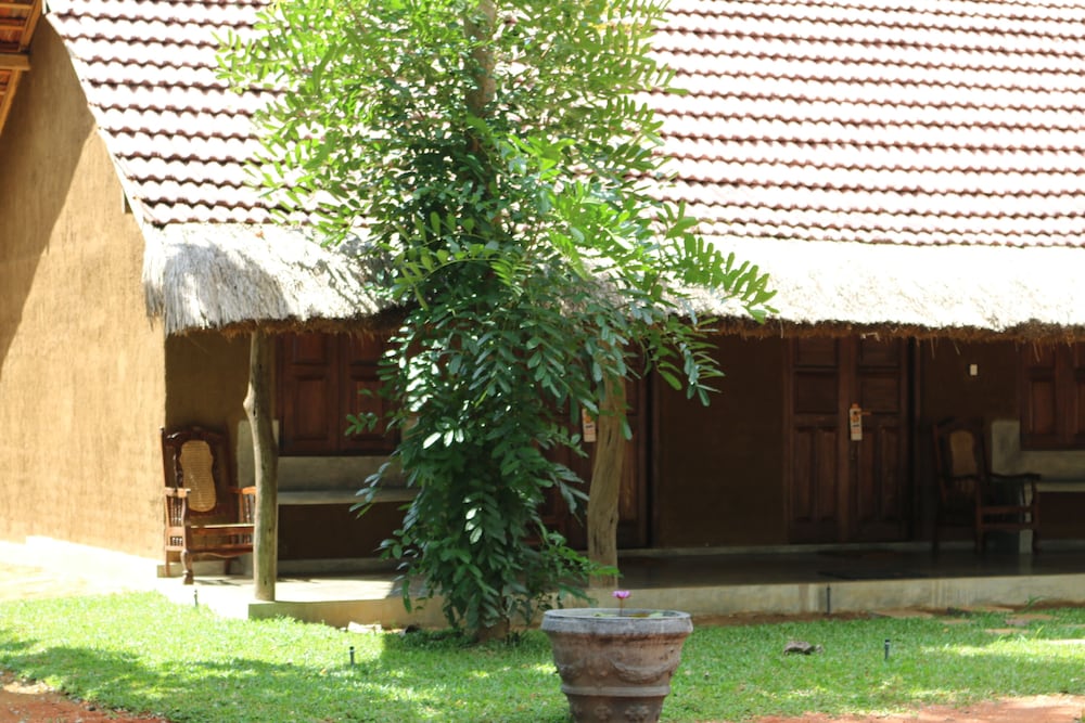 Ama Villa