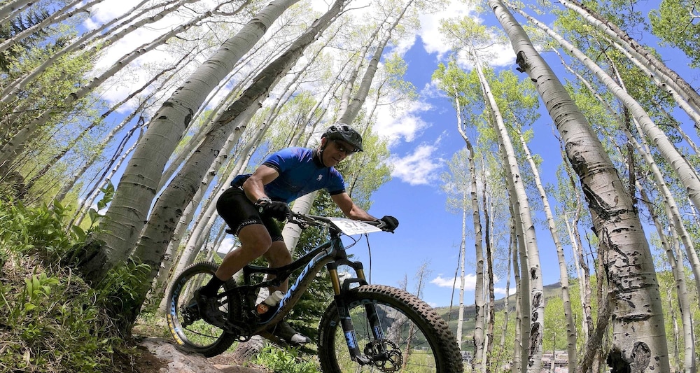 Vail Ski Resort Ski Resort Vacation Rentals