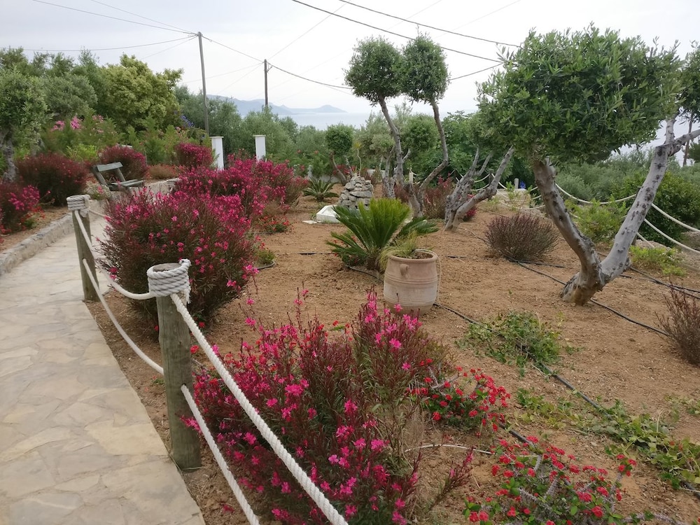 Villa Artemis photo 4