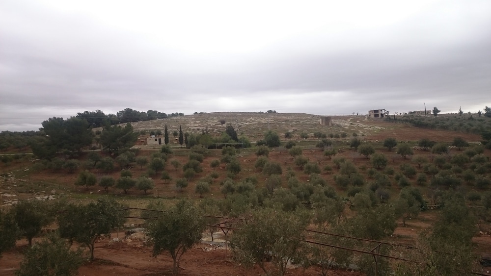Town of Nebo Hotel