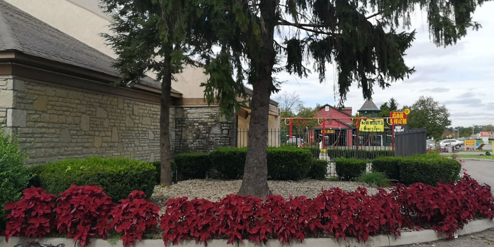 Photo 19