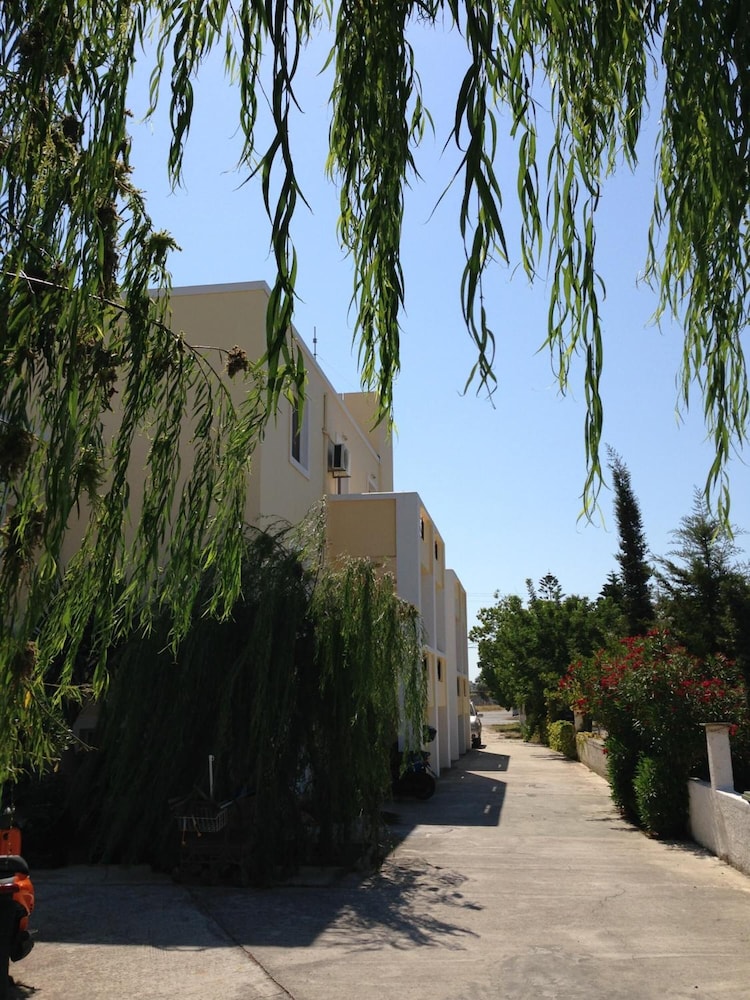 Photo 29