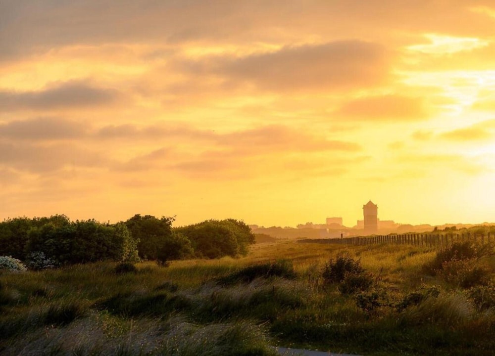 Bungalow in Netherlands Near the Coast, photo 30
