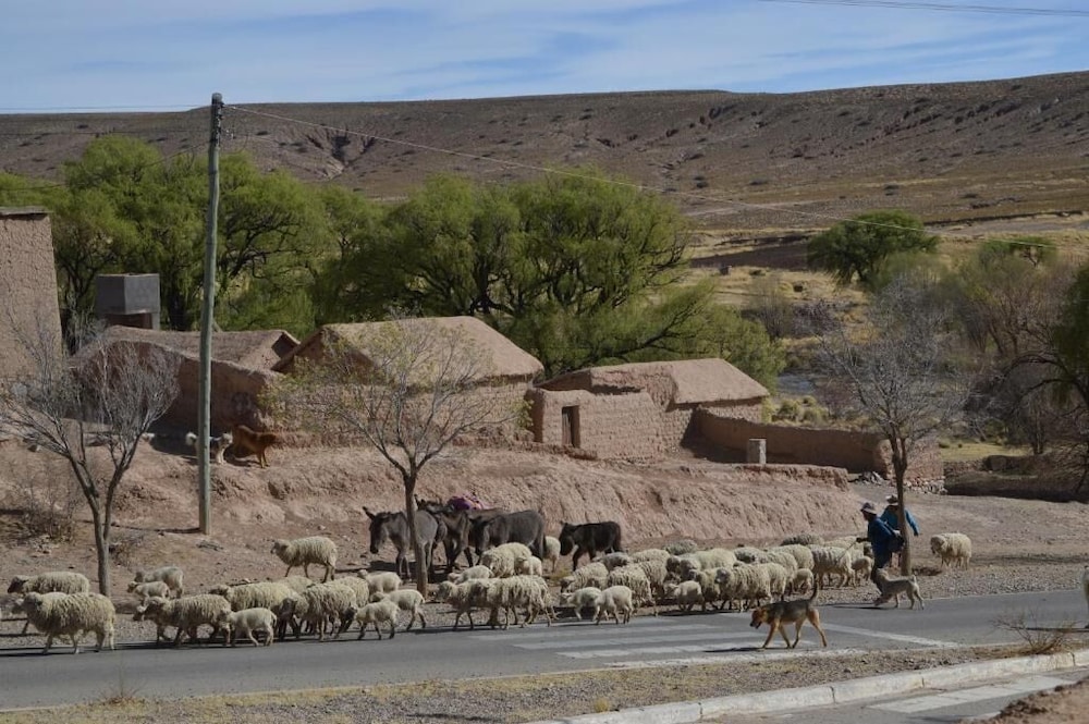 Posada Tika